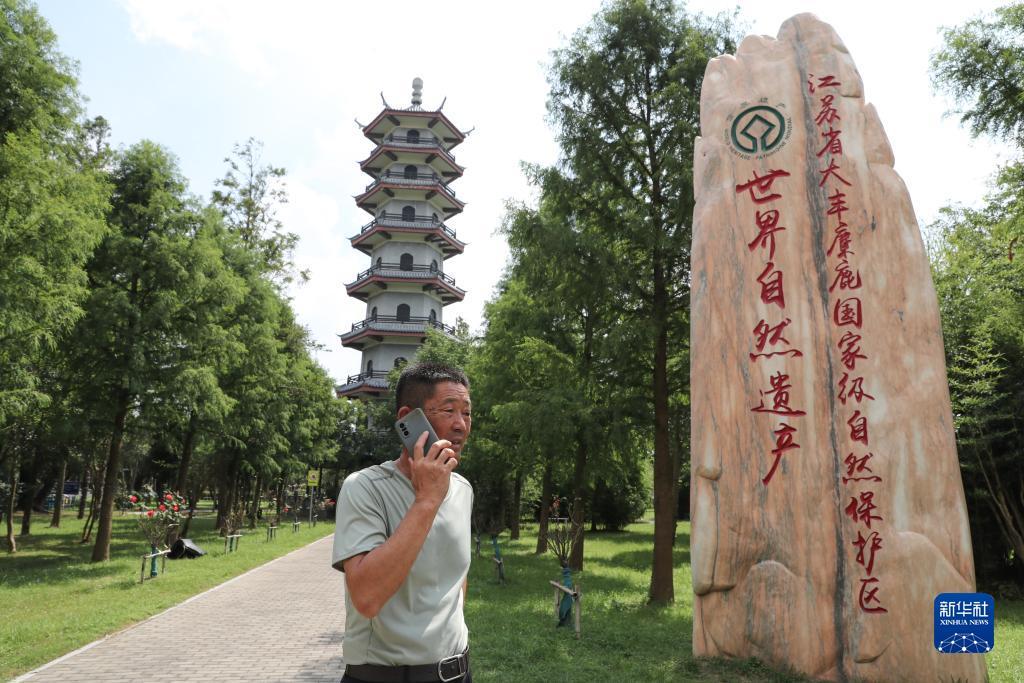 捕鱼网络版游戏